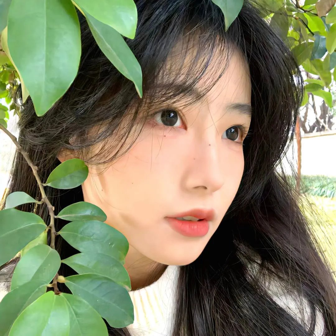 升起月光