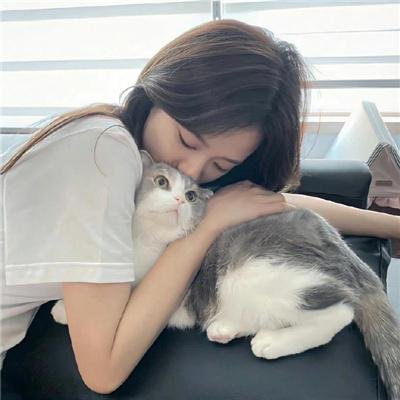 豆花依旧笑春风