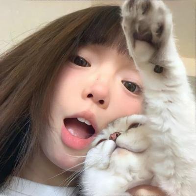 夏日的玫瑰
